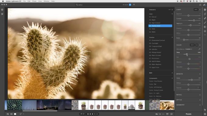 Adobe Packt Lightroom Cc In Die Cloud