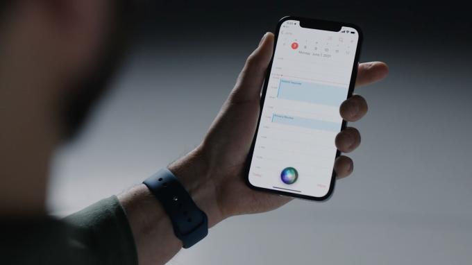 iOS 15: Siri ohne Internetverbindung nutzen – ab Herbst möglich