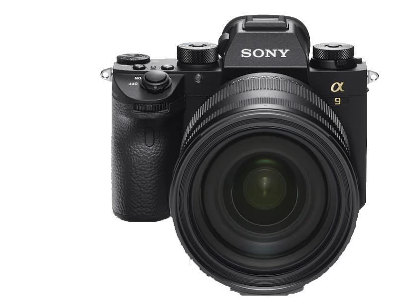 Kamera Vergleich: 8 Profi-Kameras Canon, Nikon, Sony, Fujifilm, Leica