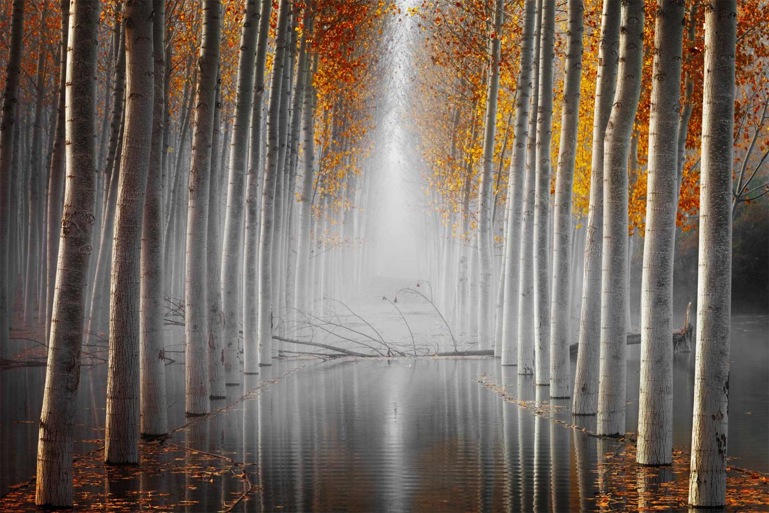 Nature Photographer Of The Year 19 Top 11