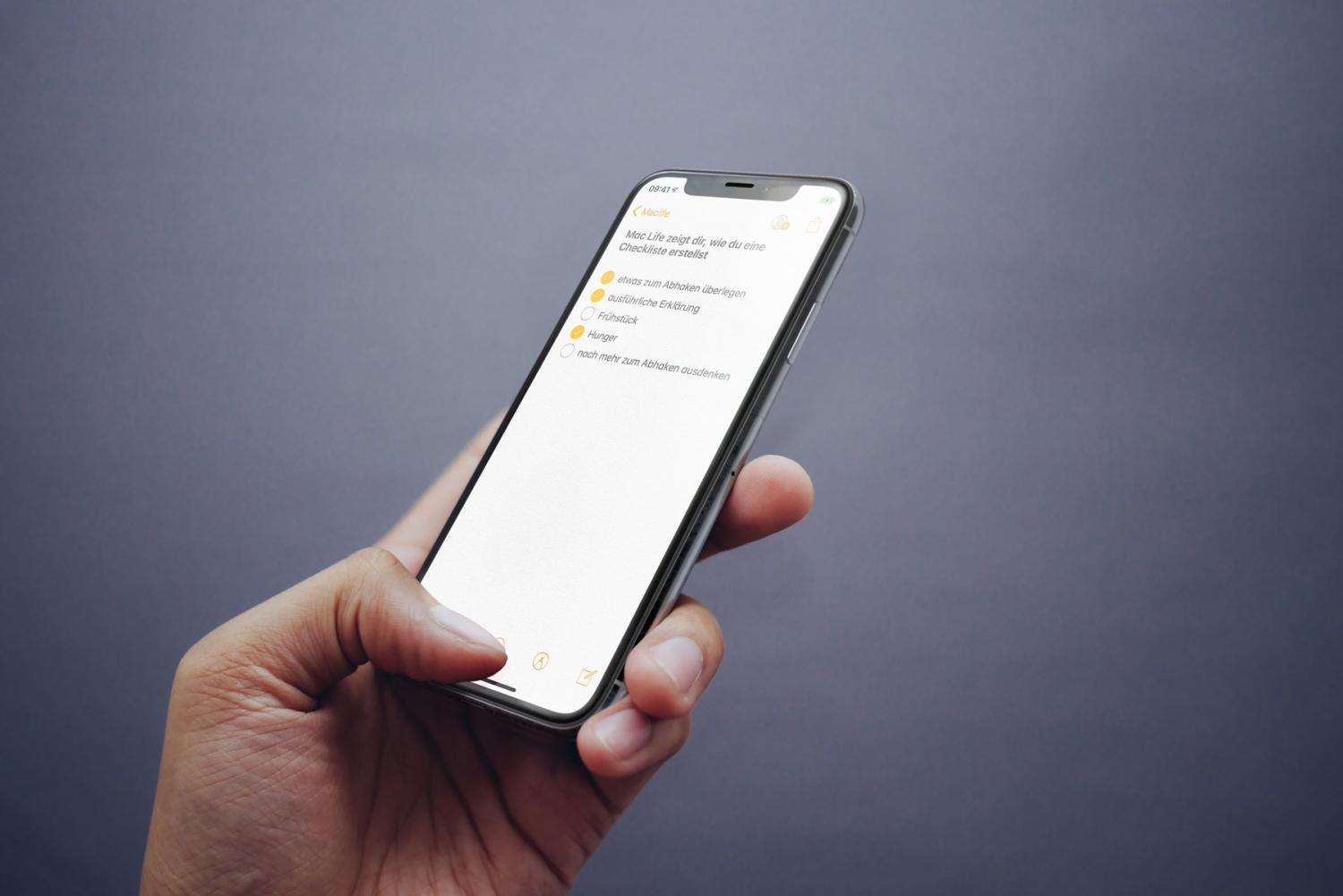 NotizenApp auf dem iPhone 5 kurze Tipps für Einsteiger und Profis