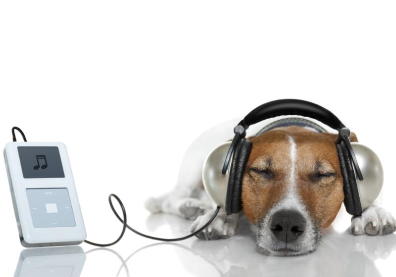 iStockphoto