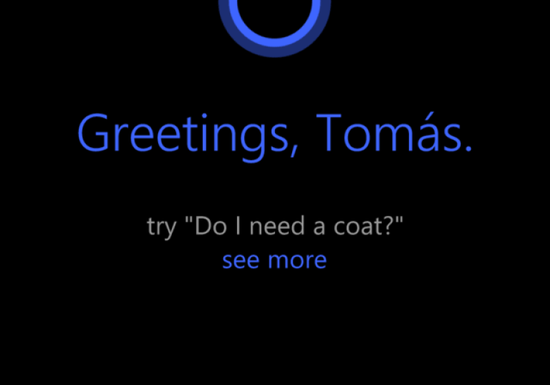 Wikipedia / Microsoft