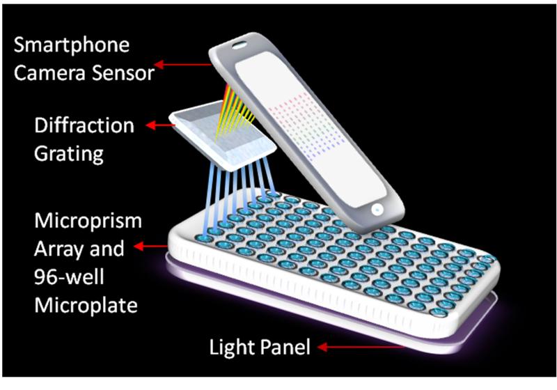 Washington State University