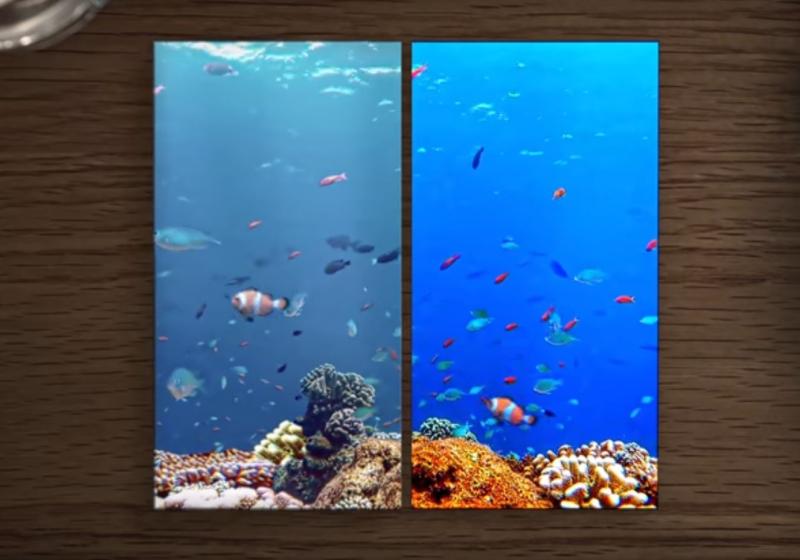 Samsung Display via YouTube