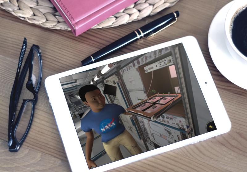 NASA / Dealjumbo via MockDrop