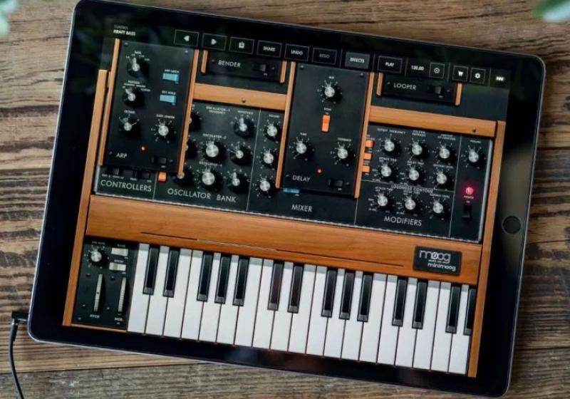 Moog Minimoog Model D Moog