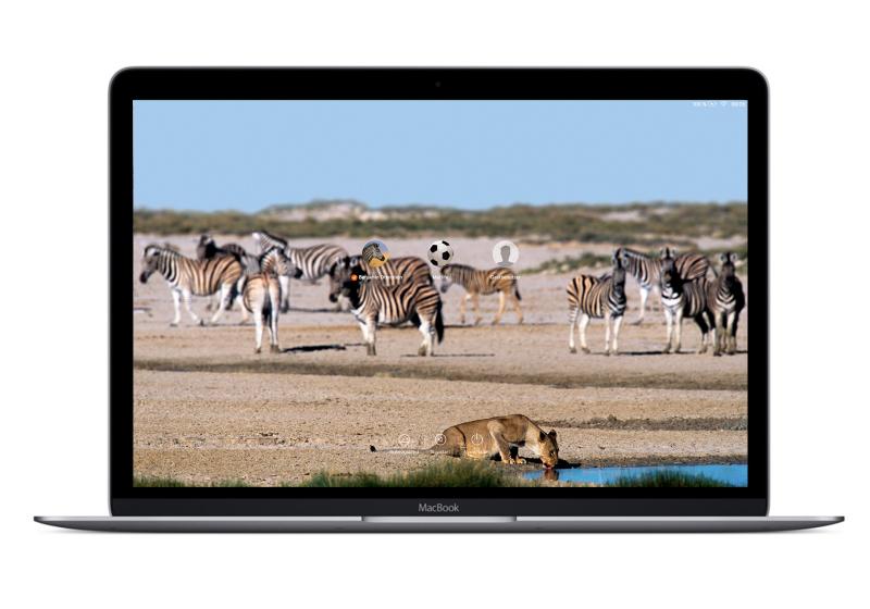 Bildmontage: Mac Life