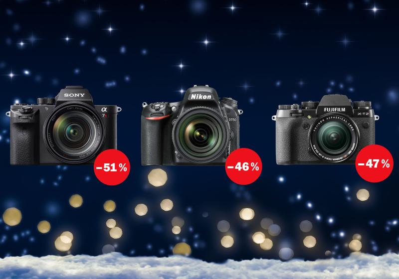 © winyu - stock.adobe.com/de