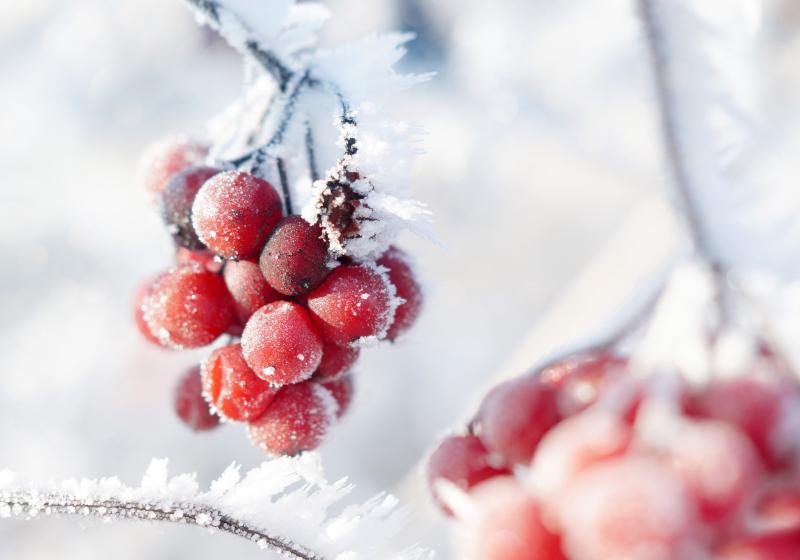 Adobe Stock, Anselm Baumgart