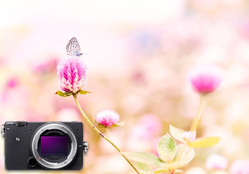 Mark James Ford - Hersteller