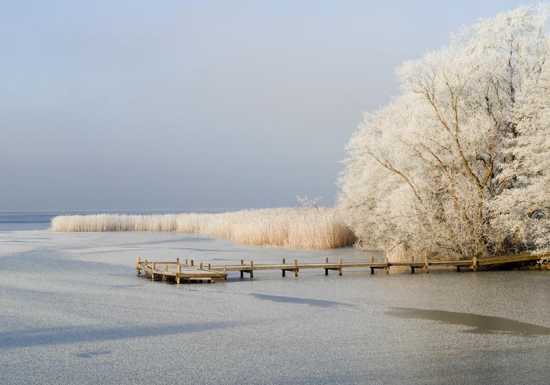 Frank Wiechens, Adobe Stock