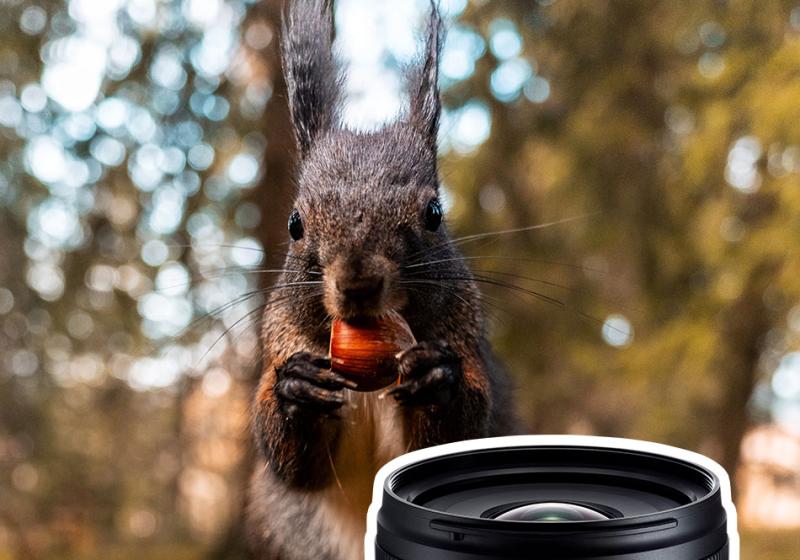 Alexander Ahrenhold - Hersteller