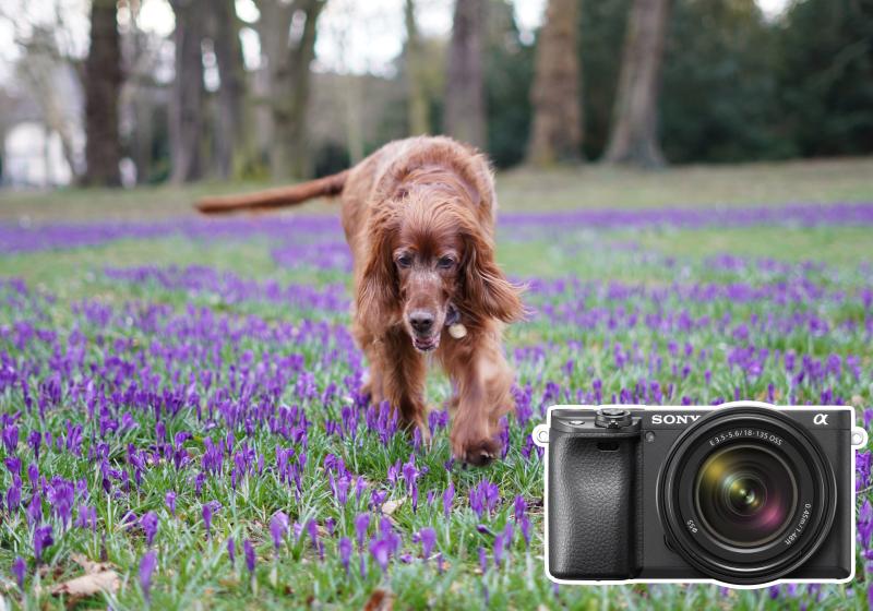 Tim Herpers, Hersteller 