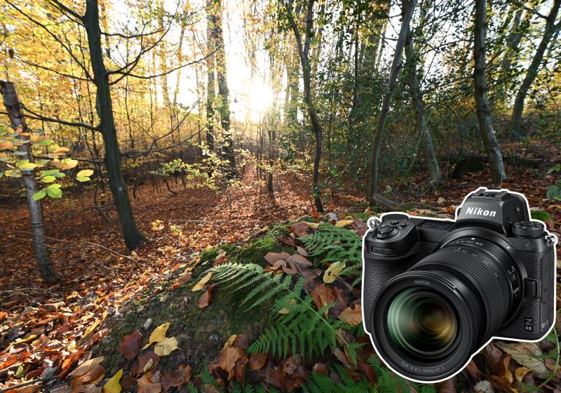 Tim Herpers - Hersteller