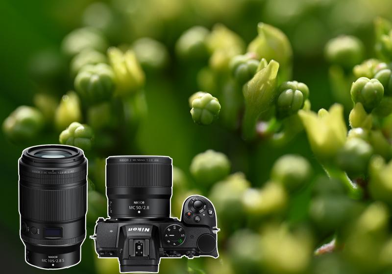 Tim Herpers - Hersteller