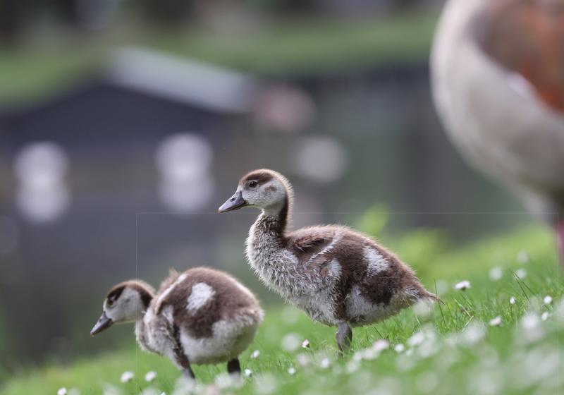 Tim Herpers - Hersteller 