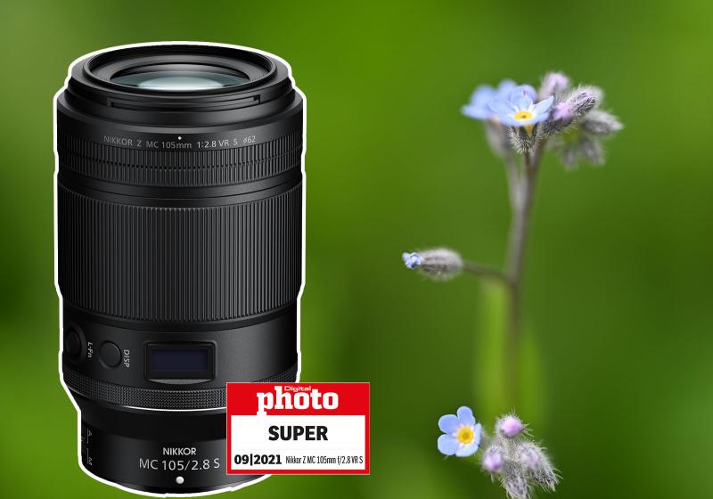 Nikkor Z MC 105mm f/2.8 VR S im Test: Makro-Gigant