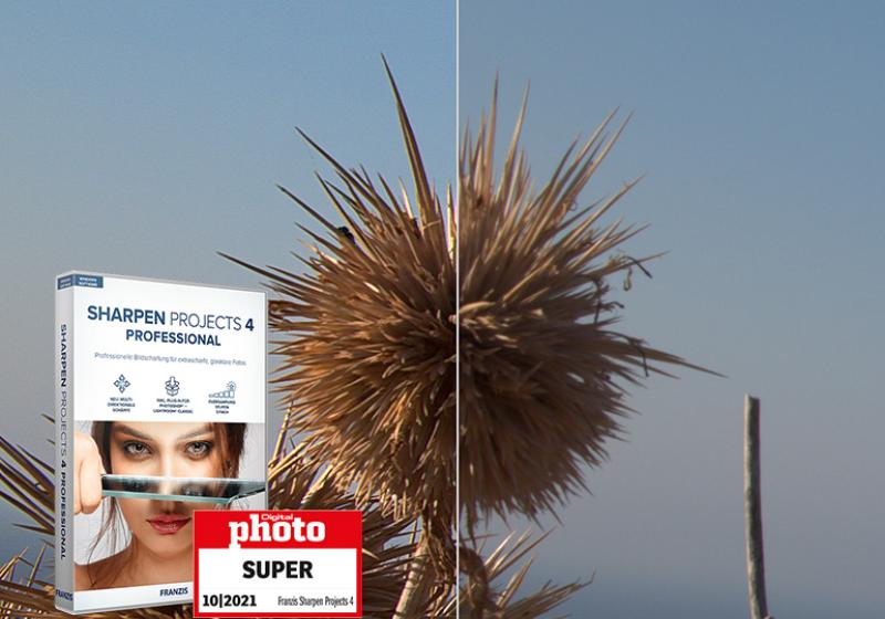 Jörg Rieger Espìndola - Hersteller - falkemedia