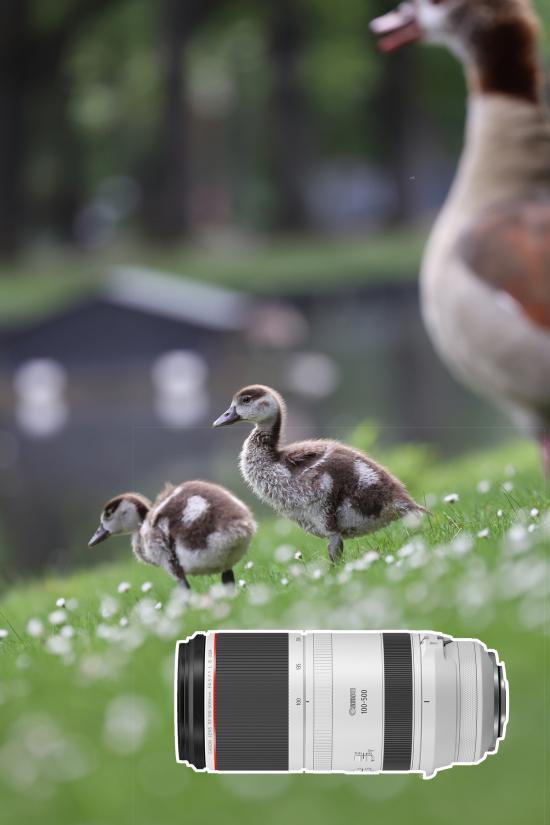 Tim Herpers - Hersteller 